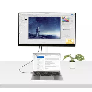 CABLE DE 0.5M THUNDERBOLT 4
