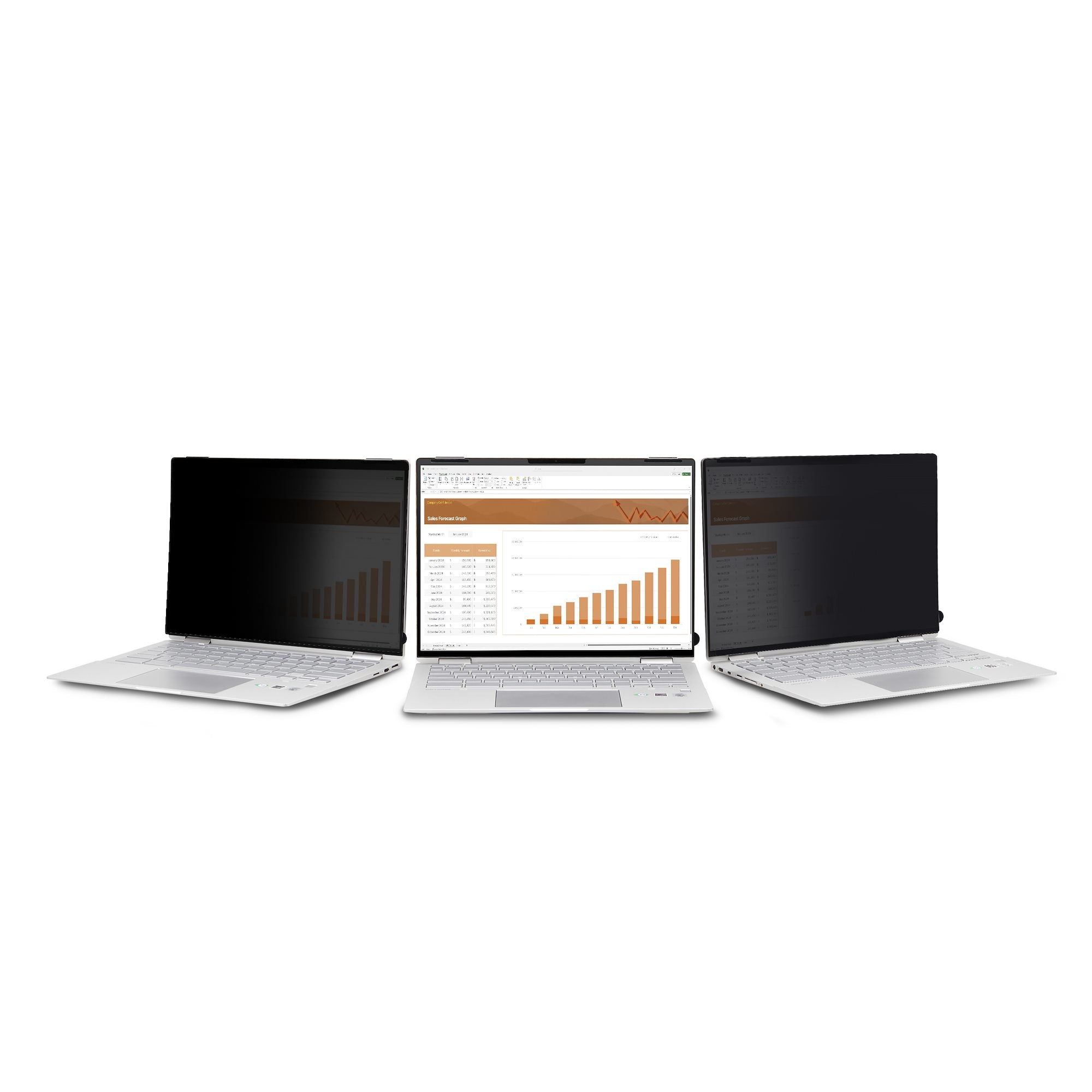 StarTech.com Filtro de Privacidad para Laptop, 13.5