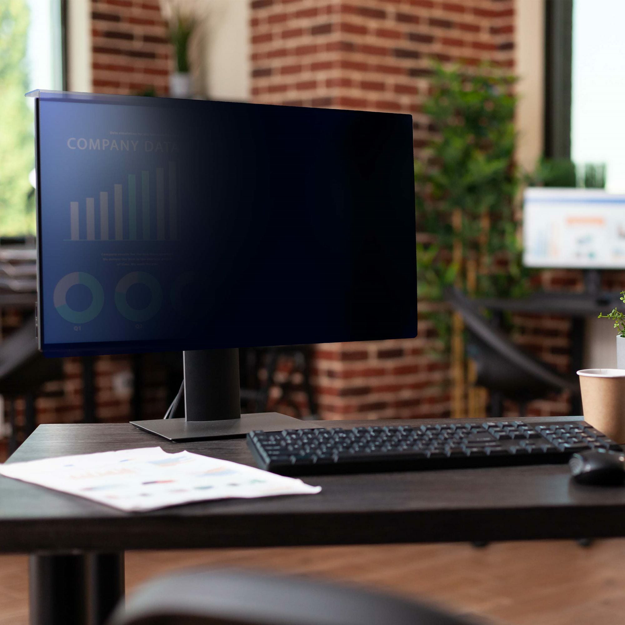 StarTech.com Filtro de Privacidad para Monitor de 24