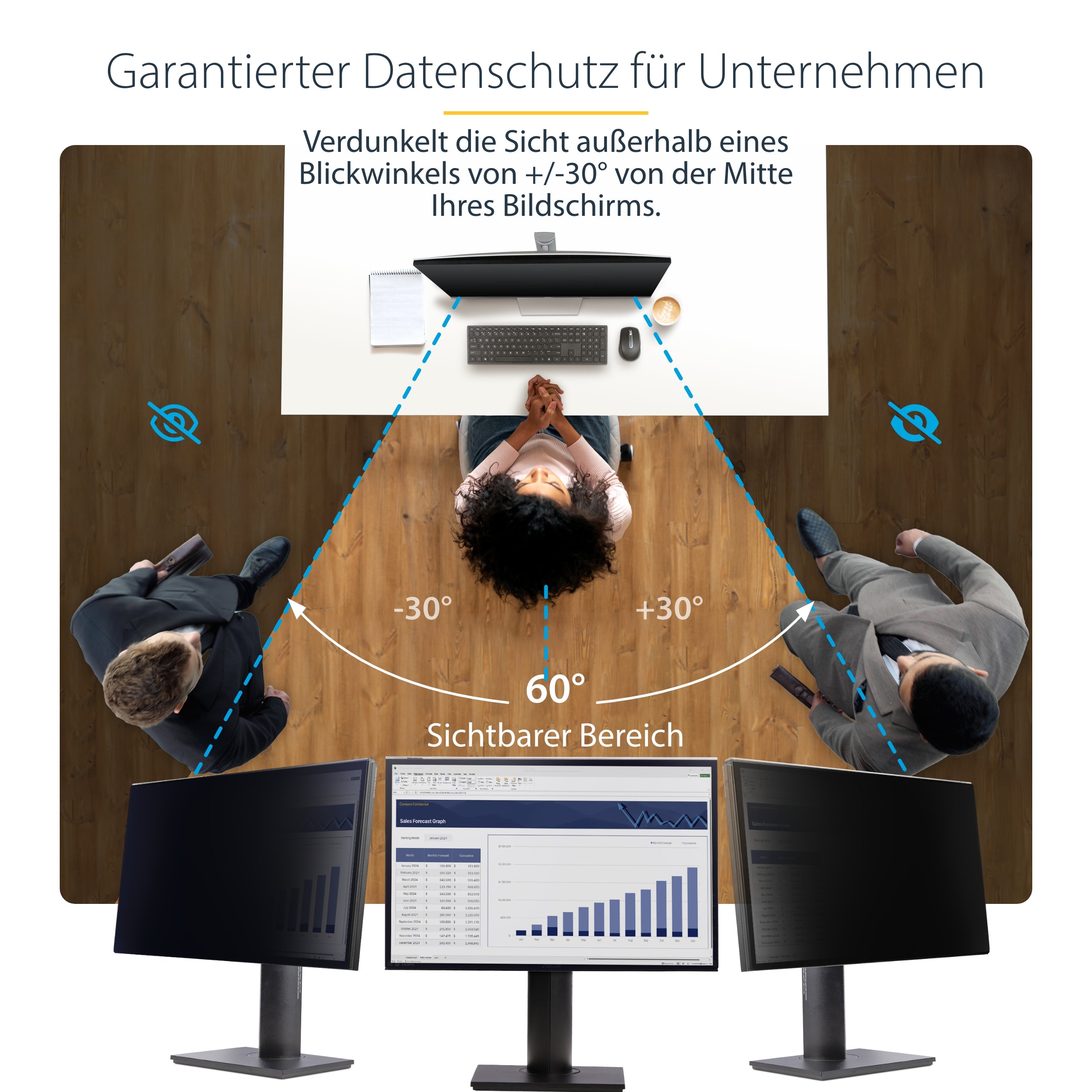 StarTech.com Filtro de Privacidad para Monitor de 24