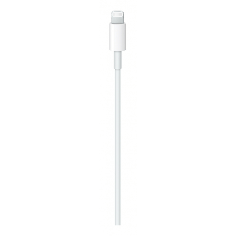 CABLE USB-C A LIGHTNING (2M)