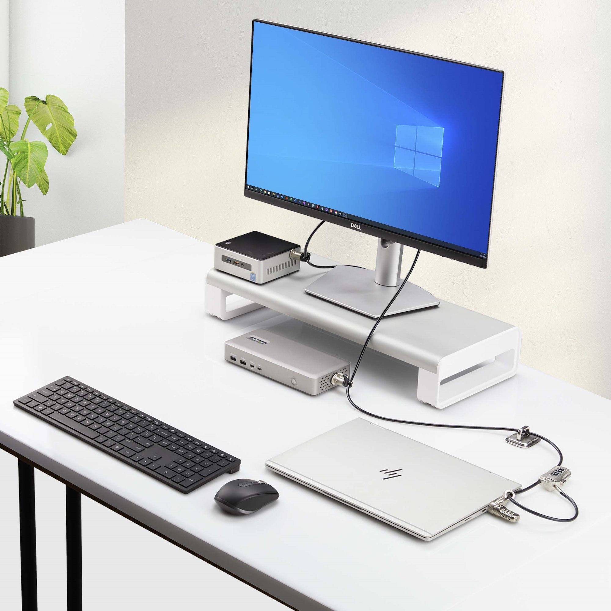 StarTech.com Candado de Llave para PC y Periféricos 3M4, 3 Metros, Negro