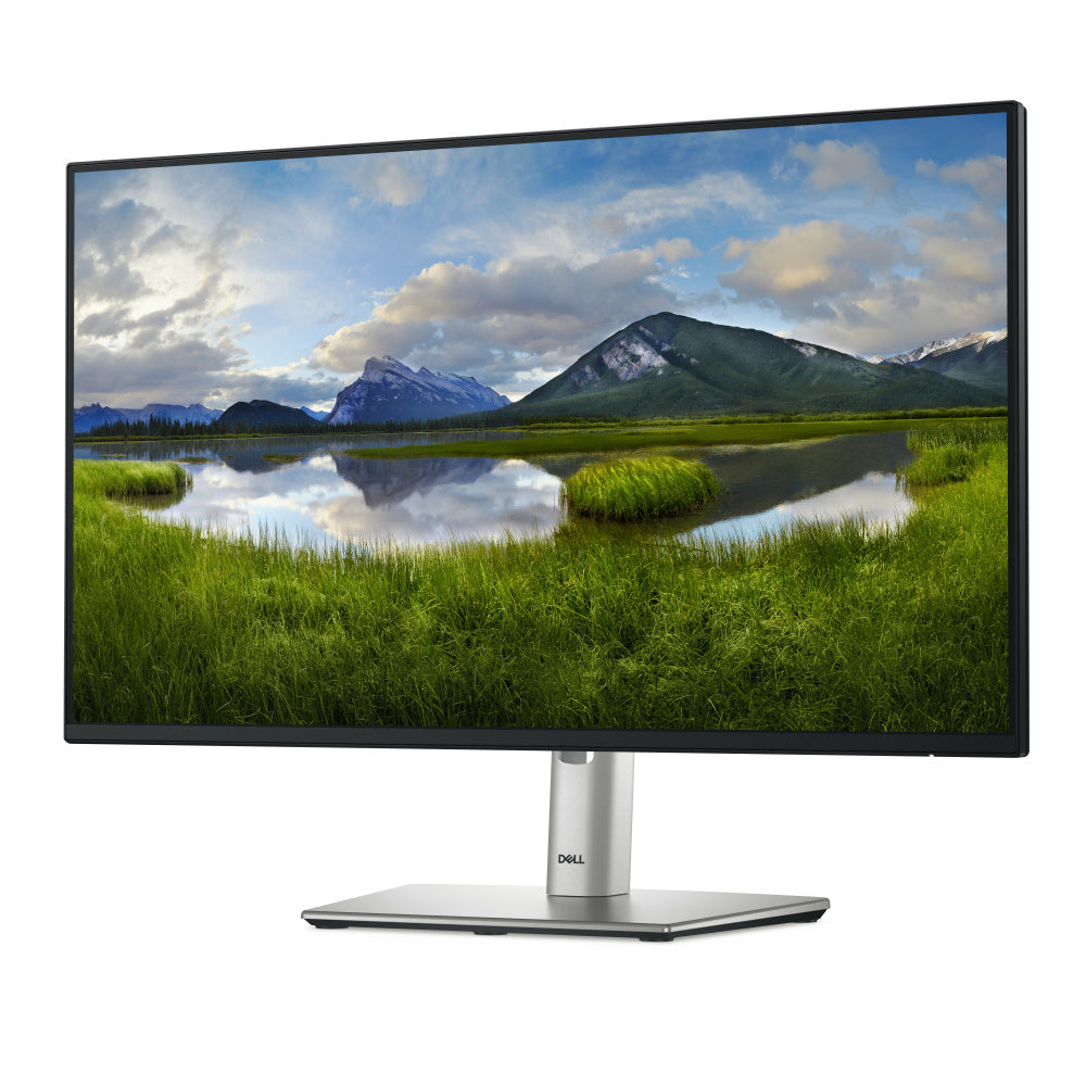 Monitor Dell P2425HE LCD 24