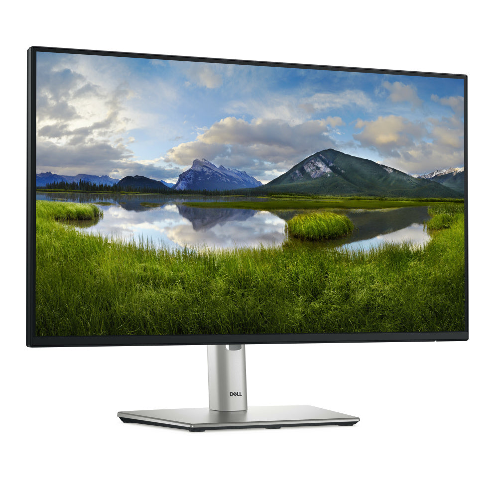 Monitor Dell P2425HE LCD 24