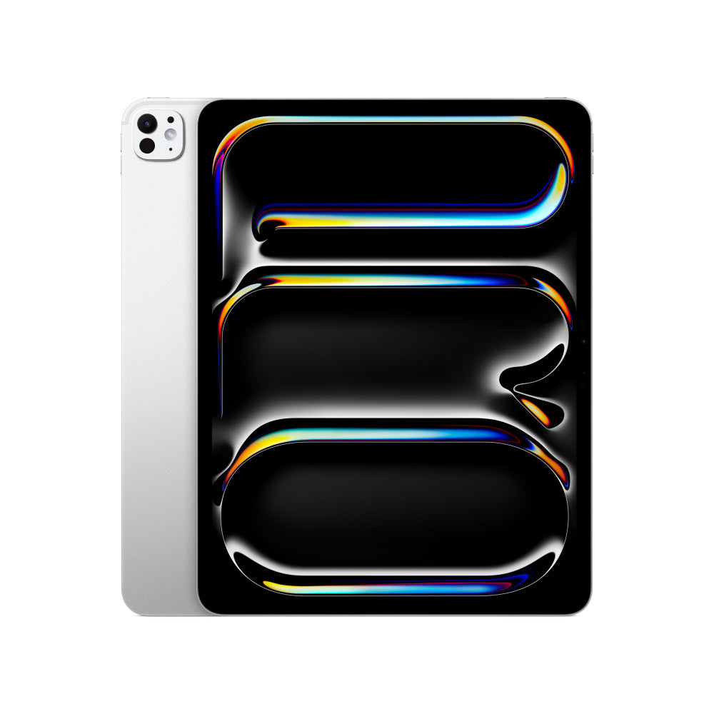 IPADPRO DE 13 IN WIFI 256GB  PLATA