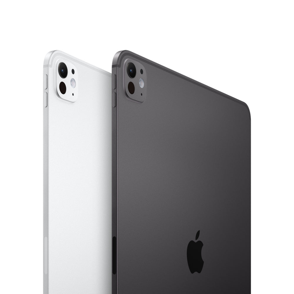 IPADPRO DE 13 IN WIFI 256GB  PLATA