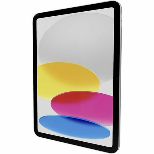 IPAD WI-FI + CELLULAR 256 GB SI LVER COLOR