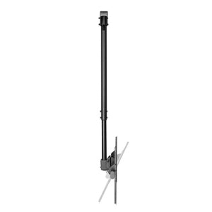 Manhattan Soporte de Techo 462204 para Pantalla 37