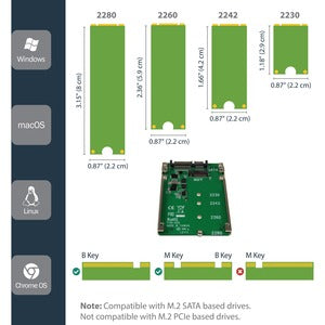 StarTech.com Adaptador Convertidor SSD M.2 NGFF a SATA de 2.5