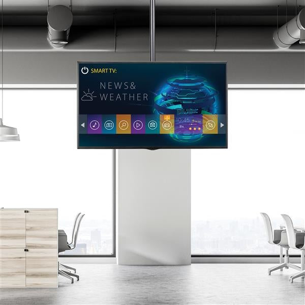 StarTech.com Soporte de Techo FPCEILPTBLP para Pantalla 32