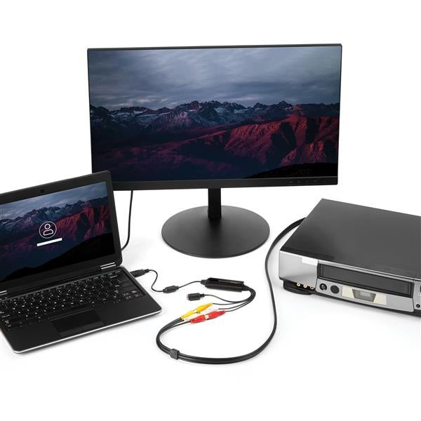StarTech.com Adaptador de Captura de Video USB Macho - Composite/S-Video/2x RCA Hembra, Negro