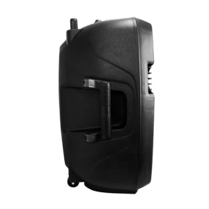 Vorago Bafle con Karaoke KSP-500, Bluetooth, Inalámbrico, 100W RMS, USB 2.0, Negro - incluye Tripie + 2 Micrófonos